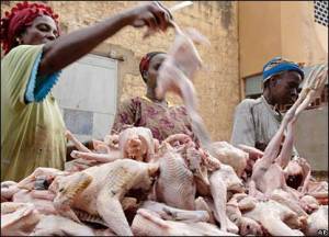 fresh chicken by the road...what's the big deal about refrigeration anyway? (photo: news.bbc.co.uk)