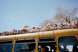 photo: mali anta on flickr