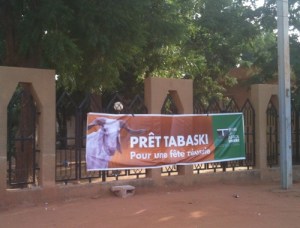 photo: Linda Padolini