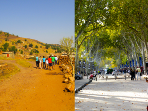 Screen Shot 2013-11-24 at 2.40.30 PM