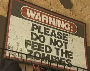 If only we had seen this when we checked in….