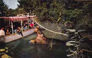 jungle cruise