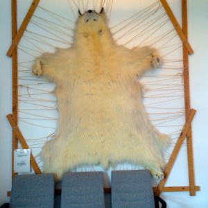 The hide of their national animal decorating the terminal.